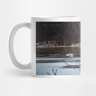 Winter Mating Swans Mug